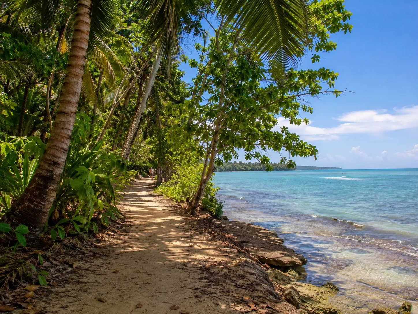 A guide leading visitors through Cahuita National Park rainforest